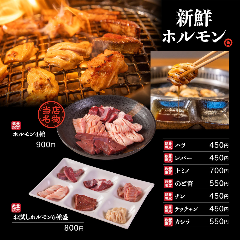 新鮮ホルモン